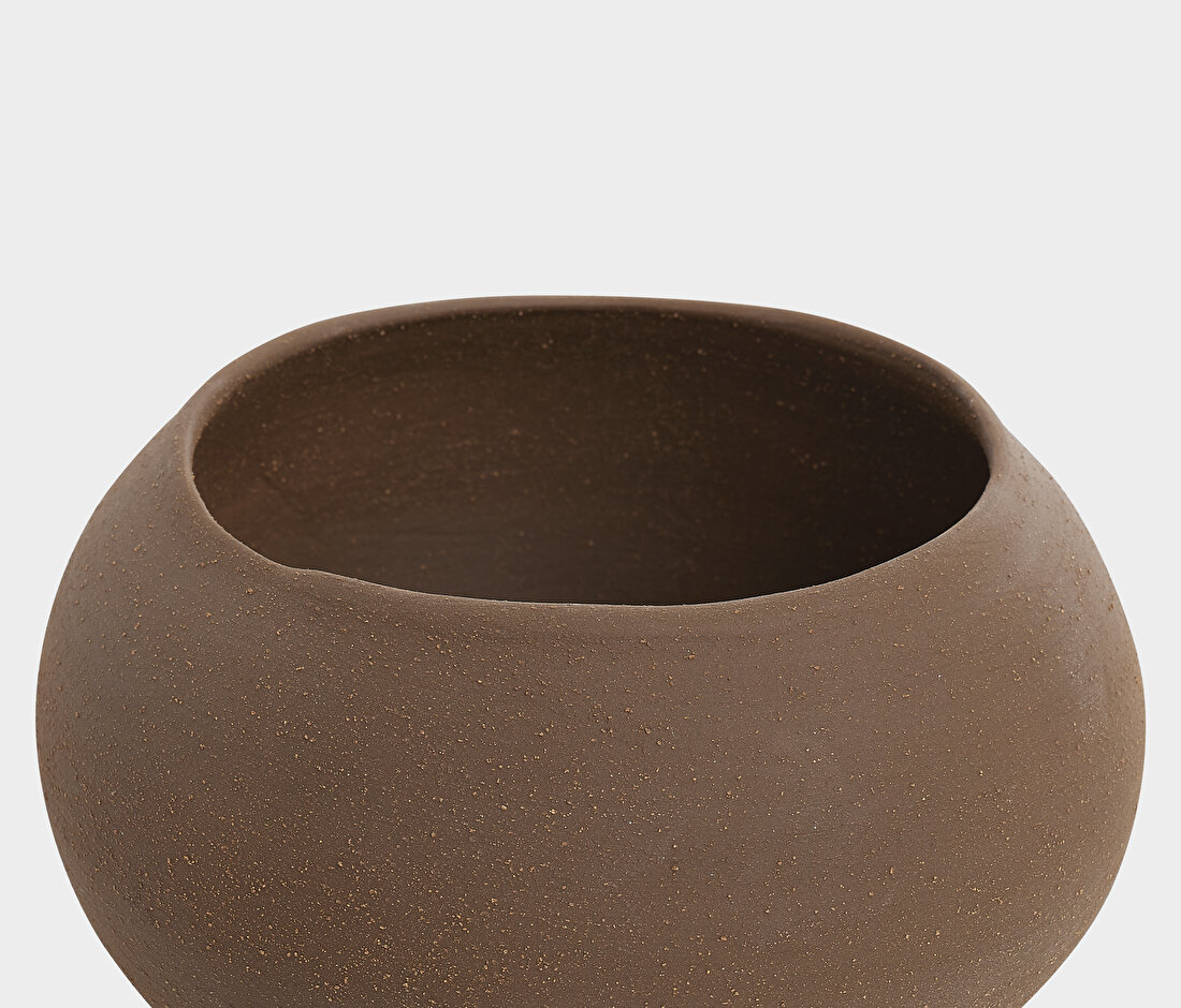 Seed Decorative Plate and Bowl