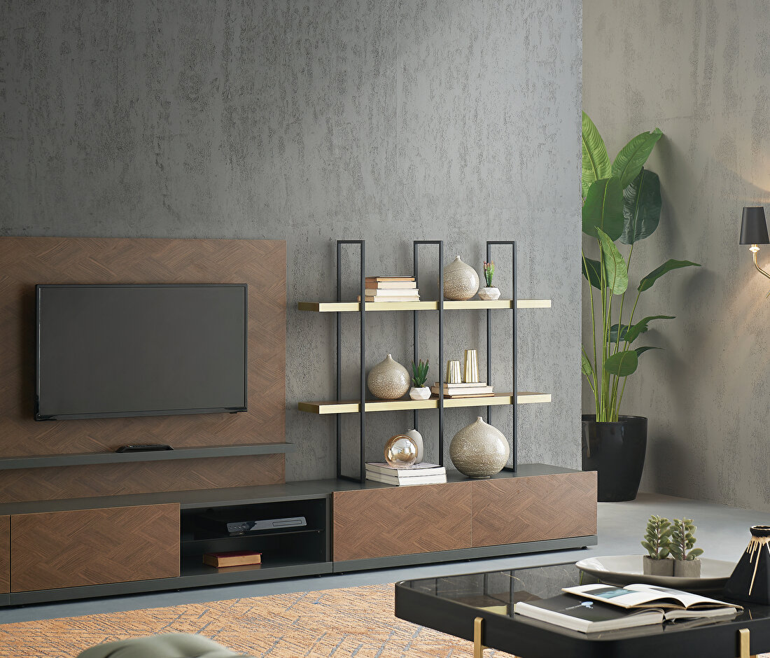 Dorian TV Stand Module