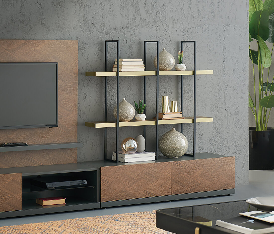 Dorian TV Stand Module