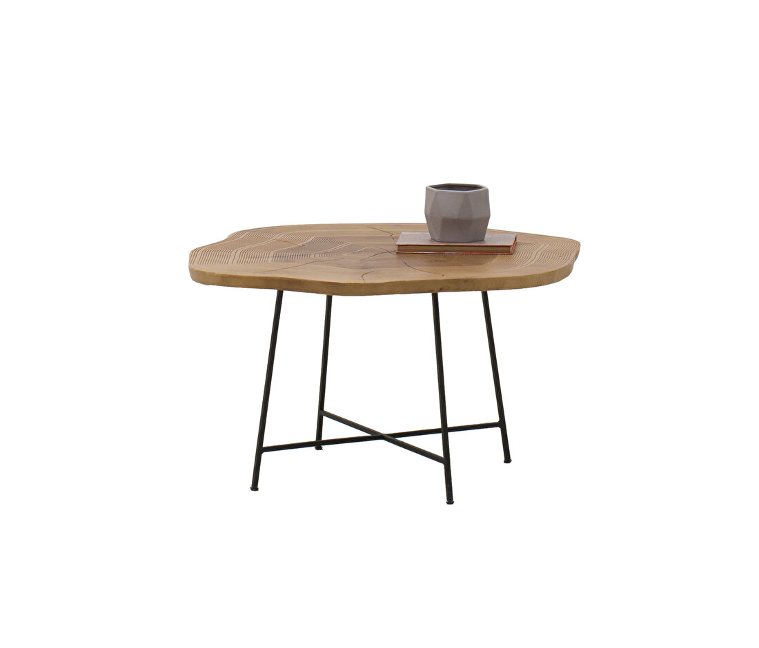 Woody Coffee Table