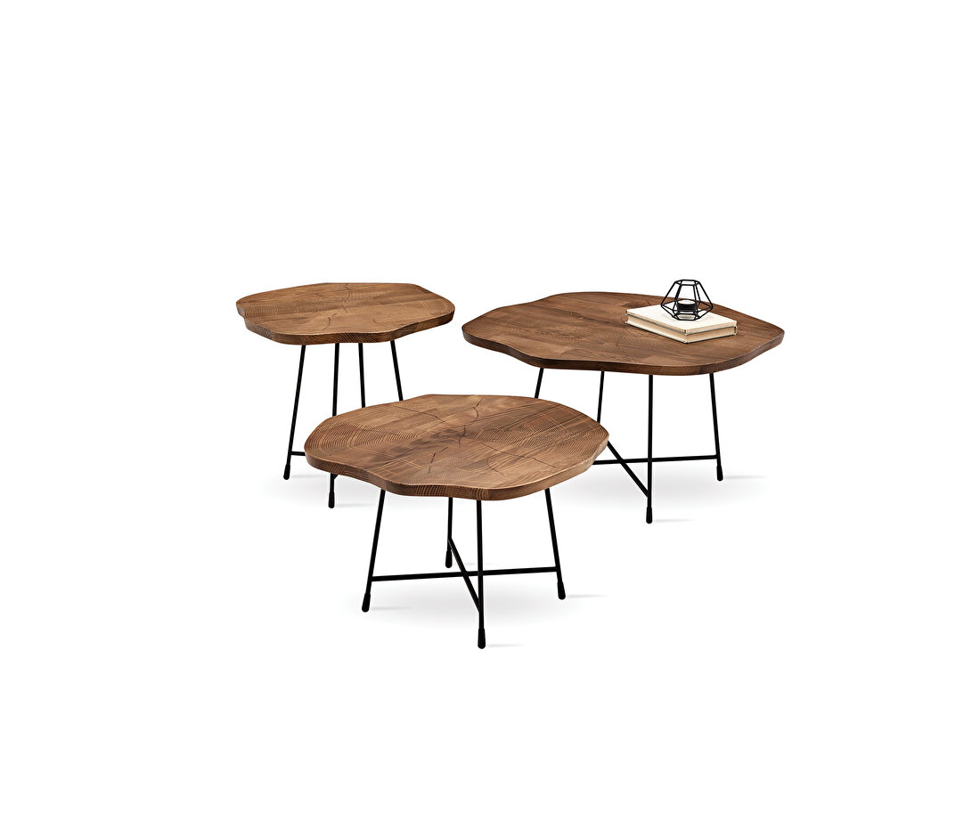 Woody Coffee Table