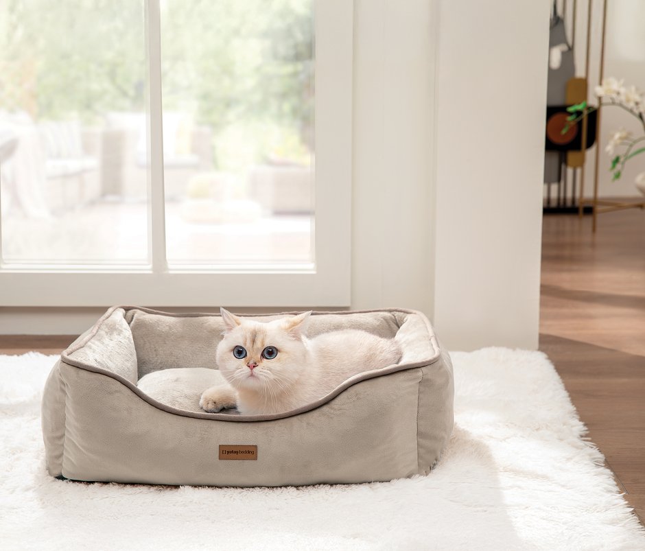 Miu Kedi & Köpek Yatağı